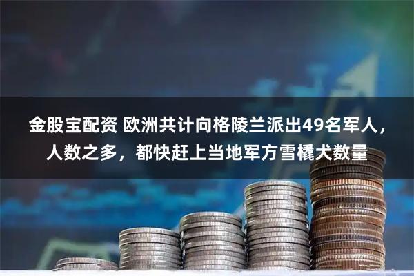 金股宝配资 欧洲共计向格陵兰派出49名军人，人数之多，都快赶上当地军方雪橇犬数量